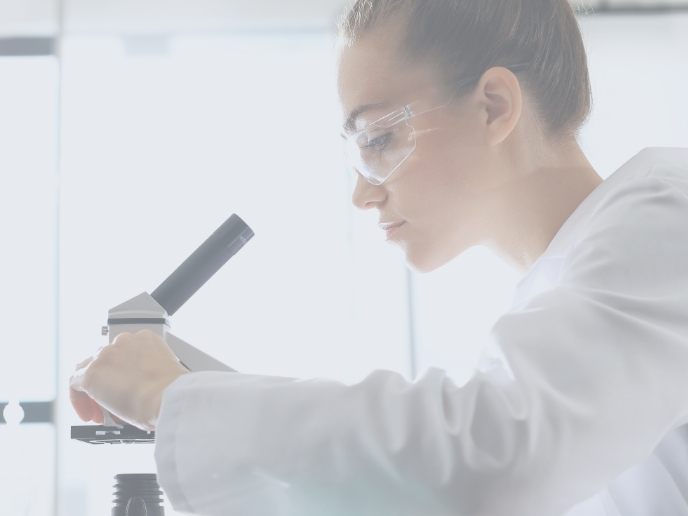 A scientist looks through a microscope